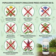Agrosar 360 SL Na Chwasty Herbicyd Totalny Glifosat 250ml BEZ ZAŚWIADCZENIA