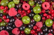Nawóz do malin, porzeczek, agrestu, winogron Organiczny 1kg ZIEMOVIT
