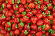 Nawóz uniwersalny Organiczny 1kg Ziemovit