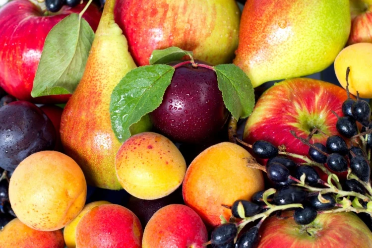 Nawóz uniwersalny Organiczny 1kg Ziemovit