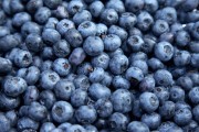 Nawóz do Borówek Organiczny 1kg ZIEMOVIT