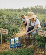 Nawóz do Borówek Organiczny 1kg ZIEMOVIT
