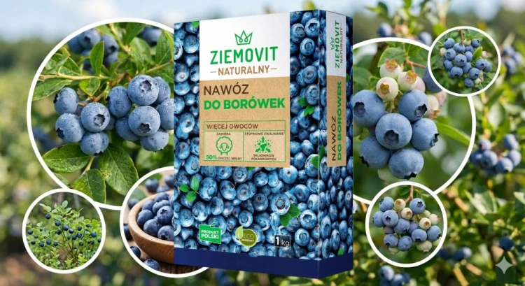 Nawóz do Borówek Organiczny 1kg ZIEMOVIT