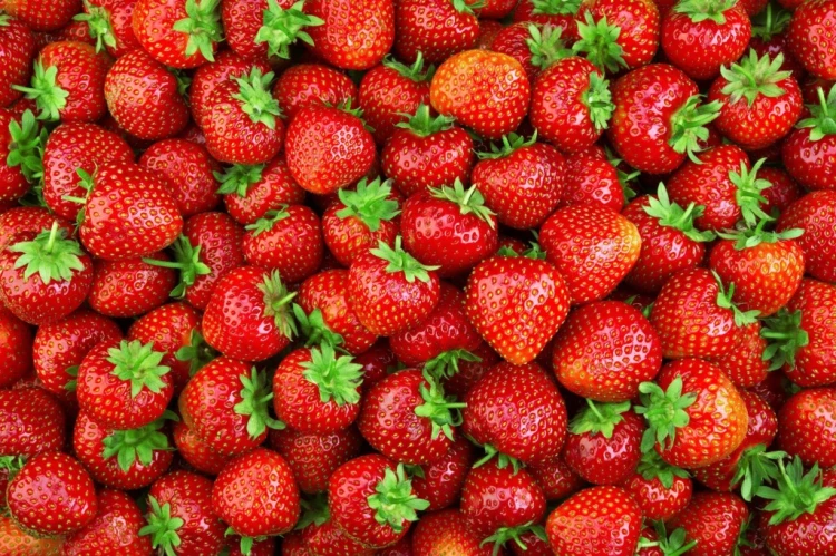 Nawóz do truskawek Organiczny 1kg ZIEMOVIT