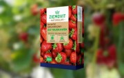 Nawóz do truskawek Organiczny 1kg ZIEMOVIT