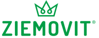 Logo tekstowe - strona główna