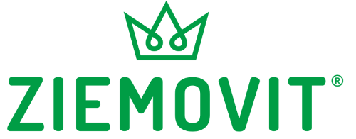 Logo tekstowe - strona główna